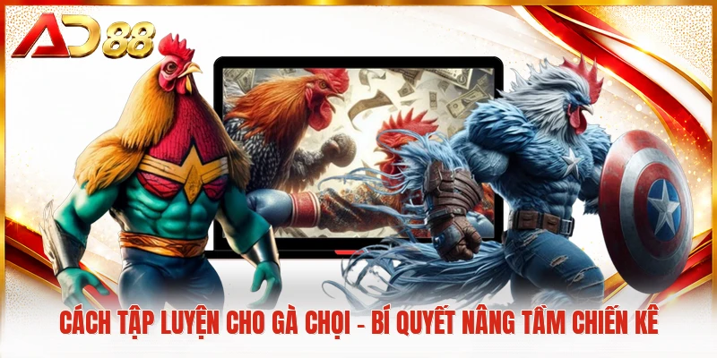 Cách tập luyện cho gà chọi