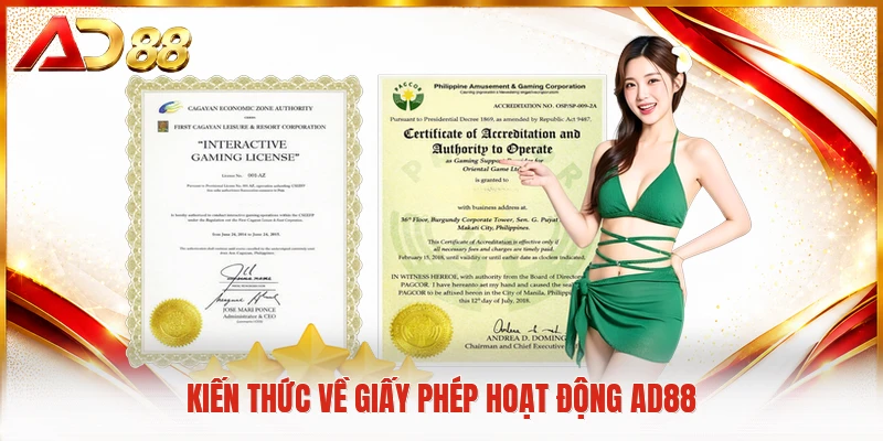 Kiến thức về giấy phép hoạt động AD88