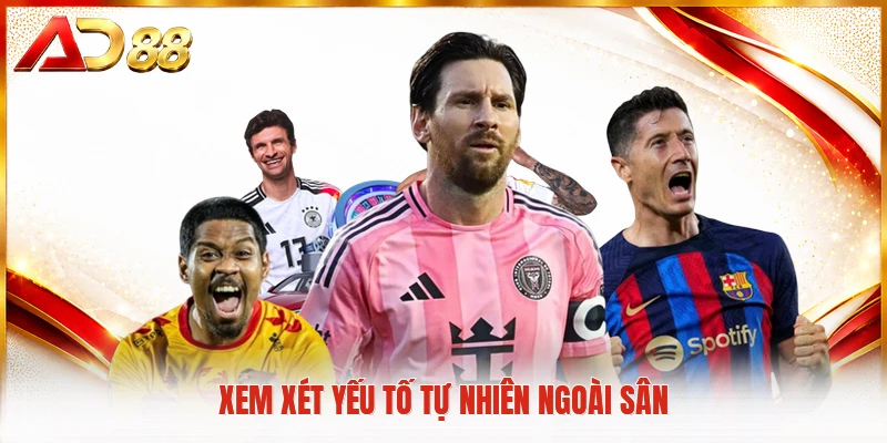 Xem xét yếu tố tự nhiên ngoài sân